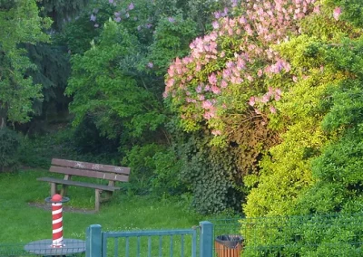 Square des enfants. Lilas en fleurs.
