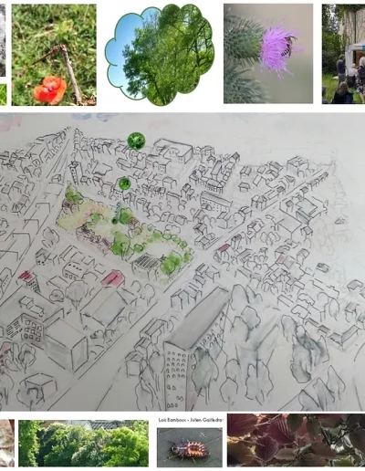 Animations publiques en plein air avec des rencontres, promenades, interventions de spécialistes, d'étudiants, de citoyens engagés, avec des ateliers d'expérimentation, des inventaires floraux et faunistiques, du jardinage, des photos, etc...