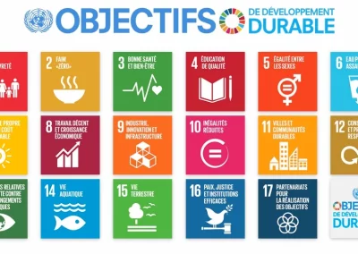 Objectifs de Demain (Développement) Durable Voir notre page correspondante : Enjeu n°6