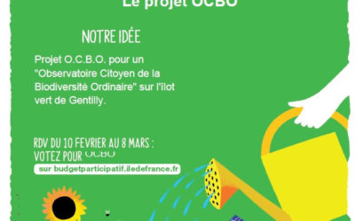 O.C.B.O. : vote du 10 février au 8 mars 2021 des Franciliens – Budget participatif de la Région  IdF