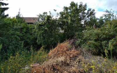 Samedi 5 septembre 2020 : visite de la parcelle 49