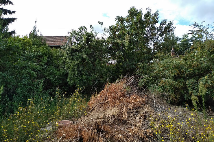 Samedi 5 septembre 2020 : visite de la parcelle 49