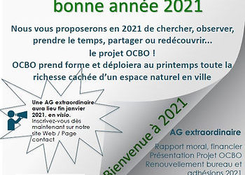 Voeux 2021, programme janvier 2021… Dernières photos, la terre est arrivée et en cours d’étalement