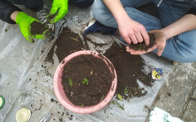 Mars-avril 2021 : accueil d’étudiants en master et labellisation Fête de la Nature 2021