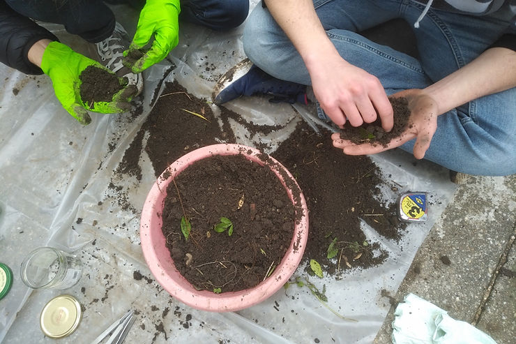 Mars-avril 2021 : accueil d’étudiants en master et labellisation Fête de la Nature 2021