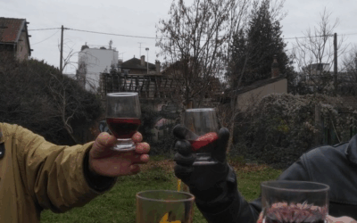 Retour en images / Dim 18 déc. 2022 : plantations, fauche tardive, refuge LPO et vin chaud !