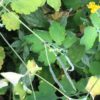 IMG-20220522-WA0000