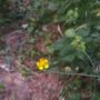 IMG_20250525_1812090