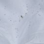 IMG_20250525_1827322