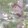 IMG_20250525_1828572