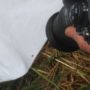 IMG_20250525_1857314