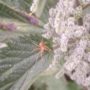 IMG_20250525_1857567