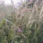 IMG_20250525_1859270