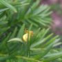 IMG_20250525_1906348