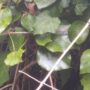 IMG_20250525_1910184