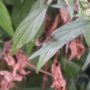 IMG_20250525_1912513
